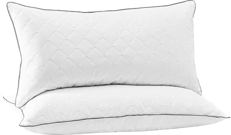 Deodar Lot de 2 Oreillers en Plumes et Duvet d'oie 40 x 80 cm
