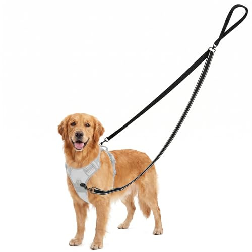 QWORK® Correa Doble, rotación de 360° Correa Perros, Correa de Entrenamiento Reflectante, para Perros medianos a Grandes