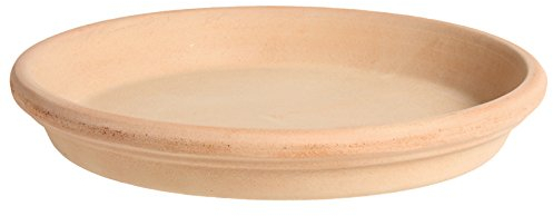 Assiette pour Plantes, Soucoupe pour Plantes, Assiette, Bain d'oiseaux en Terre Cuite, en différentes Tailles, véritable Terre Cuite, idéal pour Les Pots de Fleurs (21 cm)