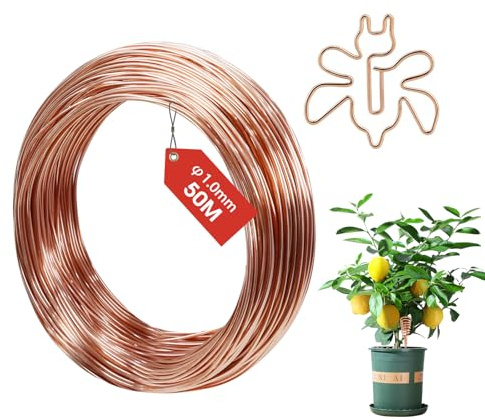 FIFIBANG 50M Kupferdraht, Ø1mm Copper Wire, T2 Reiner kupferdraht Blank, Basteldraht Schmuckdraht, Gardening Kupferdrahte, Kupferspulen für Garten, Pflanzen und Gemüseanbau DIY