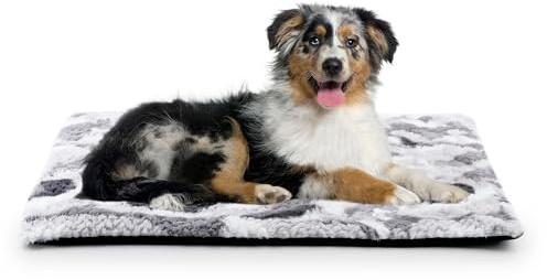 Petace Selbstheizende Katzendecke aus Plüsch, 75 x 50 cm, ohne Strom, Grau | Leise Wärmeschicht, Rutschfeste Unterseite, Maschinenwaschbar, Kätzchen & Kleine Hunde, Innen & Außen