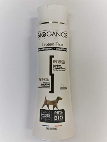 Biogance BGPP250 Hunde Shampoo, Protein Plus, 250 ml