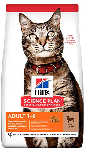 Hill's Pet Nutrition Sp Feline Adult Lamb&Rice – 7000 g