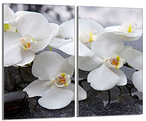 Herdabdeckplatten 2-Teilig 2x30x52 cm Ceranfeldabdeckung Küche Elektroherd Induktion Herdschutz Spritzschutz Glasplatte Schneidebrett aus Gehärtetem Glas, Orchidee Weiß