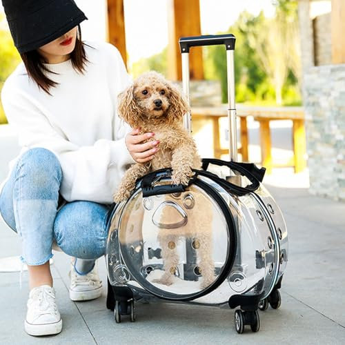 Utaxuper Sac à dos de transport pour animaux de compagnie - Sac de transport à roulettes - Chariot pour chat - Sac à dos de voyage - Fenêtre d'aération - Porte-chat - Pour chien et chat - Noir