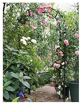 Arche de jardin en fer pour plantes grimpantes - Décoration de mariage - 230 à 280 cm - Noir