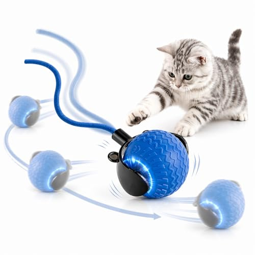 Interaktives Katzenspielzeug Ball, Katzenball Elektrisch mit Schwanz