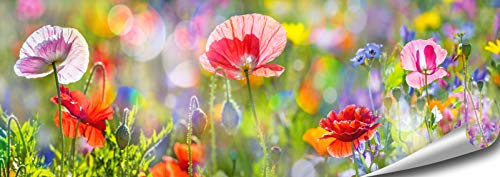 ARTBAY Blumen Poster HD XXL - Panorama Kunstdruck - 118,8 x 42 cm | Blühender Mohn | Blumenwiese im Sonnenlicht | Natur Poster | Premium Qualität