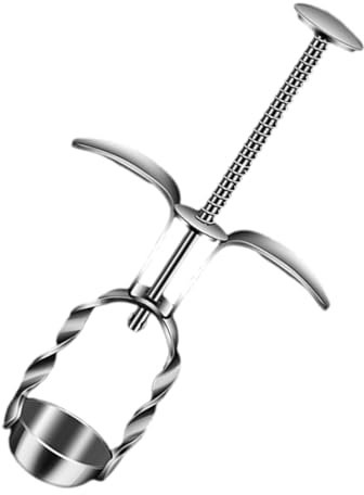 FONDOTIN Strumento Rimuovi Ciliegie Acciaio Inossidabile Utensile per Rimuovere Nuclei Frutta Compatto e Leggero per Cucina Scuola