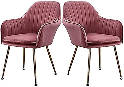 WLCNYL Esszimmerstuhl Küche Esszimmermöbel Stühle Esszimmerstuhl 2er-Set Küchen-Esszimmerstühle Moderne Küche Wohnzimmer Empfang Freizeit Sessel mit Metallbeinen Samtsitz und Rückenlehne