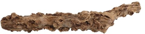 CTIRCHIU Natural Wood Climbing Branch for Reptile Enclosure, 30-40cm Dried Pomegranate Branch Providing Activity Spaces and Shedding Aid for Snakes and Bearded Dragons in Vivarium Setups