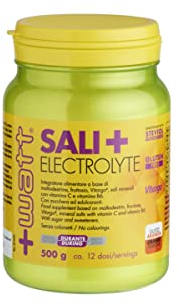 Sali+ Electrolyte - Per Disporre di Energie Durante l'Attività Fisica - Formato: 500 g - Gusto Arancia