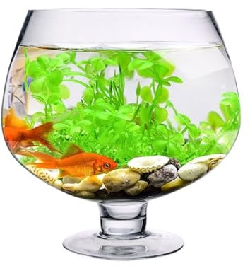 ZKALQECNF Aquarium Petit Aquarium en Verre Transparent épais, Aquarium, Salon, Bureau, réservoir de Tortues, gobelet créatif, Conception de modélisation Aquarium Complet(27cmx19.5cm)