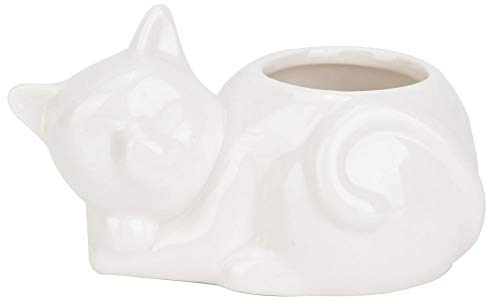 Fictory Blumentopf Keramik, Sukkulenten Töpfe Blumentöpfe Pflanze Container, 1 PCS Keramikharz Sukkulenter Pflanzenbehälter Blumentopf Pflanzer Garten für Mini-Pflanzen Kaktu(weiße Katze)