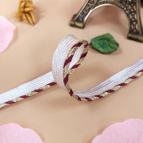 Yalulu 20 Yards Polyester Paspelband, 10mm breite Flaches Kordelrand-Paspelband Zum Nähen von Kleidern Und Kostümen Heimtextilien Dekoration (D)