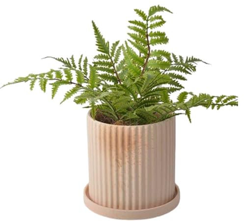 IOEDHW Jardinière Nordique Simple en Terre Cuite, Pot de Fleurs Respirant et Absorbant de Forme Ronde, Petit Pot de jardinières avec Trous de Drainage et Plateau pour la Plantation intérieure