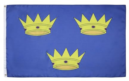 AZ FLAG Bandera Provincia de Munster 150x90 cm Poliéster 100D 2 Ojales | Uso interior y exterior Enseña costuras dobles y bordes reforzados con ojales metálicos