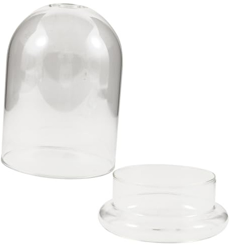 Garneck Glas Terrarium Pflanzgefäß Ökologische Flasche Transparent Klare Glasglocke mit Großem Loch für Mikrolandschaft Wohnzimmer Balkon Garten