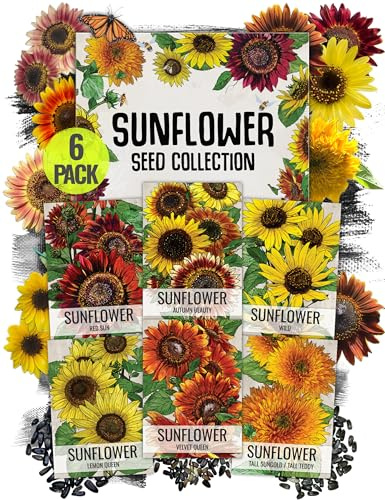 Seed Needs Sunflower Seeds for Planting an Outdoor Flower Garden - Heirloom & Open Pollinated Variety Pack Collection - Plant a Butterfly Garden to Attract Pollinators (6 Packs)