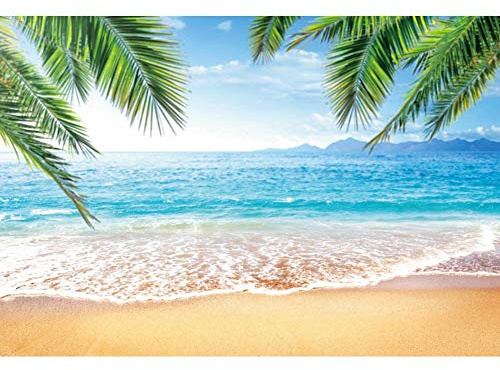 Renaiss 3x2.5m Été Plage Fond Tropical Hawaii Bord De Mer Feuilles De Palmier Photographie Toile De Fond Nature Paysage Mariage Anniversaire Fête Décoration Voyage Photo Booth Props Vinyle