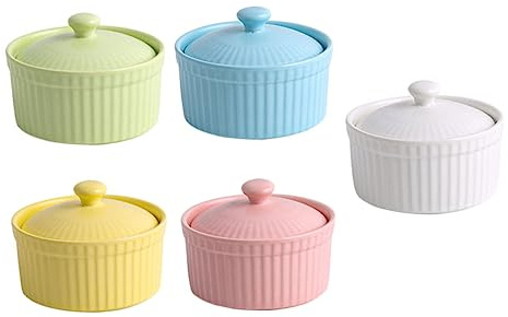 Toyvian Ciotole in Ceramica con Coperchio per Budino e Verde Rosa Bianco Giallo Blu Adatte Forno e Microonde per Dessert e Cottura Monoporzione