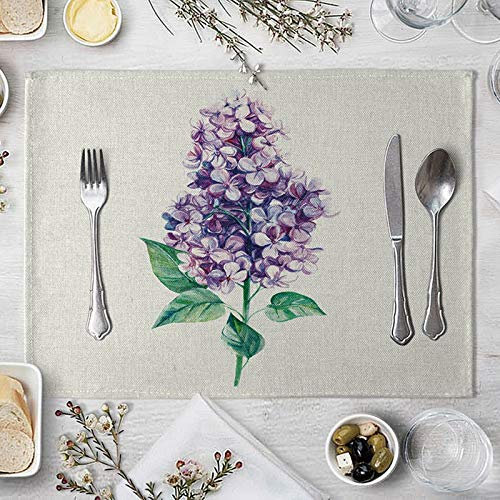 Beydodo Platzsets Abwaschbar Stoff, Hyazinthe Tischset 2er Set rutschfest 40x30CM