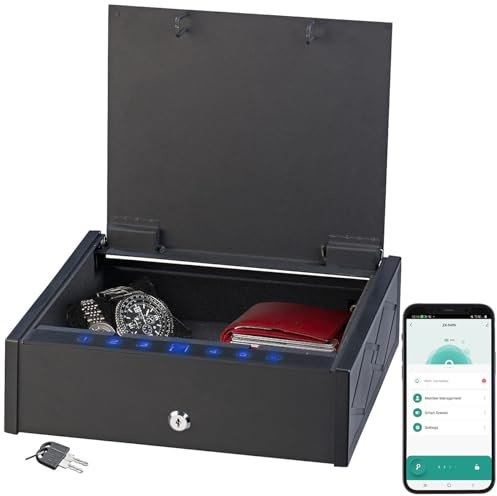 Xcase biometrischer Safe: Smarter Tresor mit biometrischer Fingerabdruckerkennung, App (Geldkassette mit Fingerabdruck, Kleiner Tresor mit Fingerabdruck, Uhren)