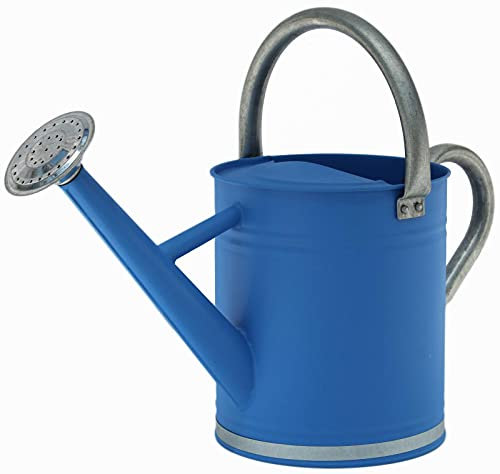 BebLP 3.5 L Regadera Azul con Detalles Galvanizados Decoración Decoración de Patio Regadera Regadera en Aerosol Regadera for Plantas de Interior Regadera for Plantas Decoraciones de Jardín Regadera Pe