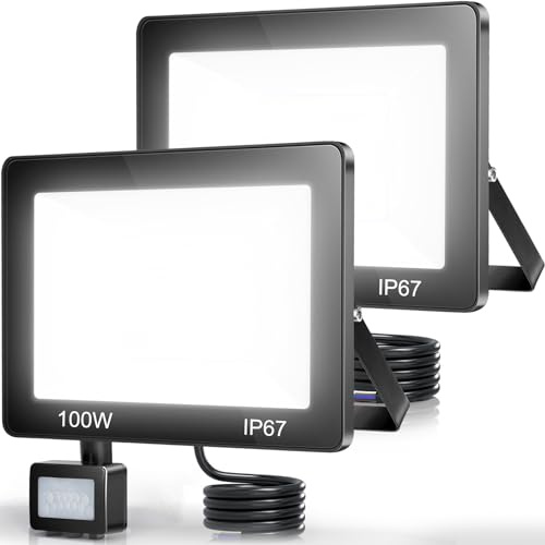 TASINUO LED Strahler mit Bewegungsmelder Außen 100W 10000LM LED Fluter, 2PC | Außenlampe mit Bewegungsmelder 6500K, IP67 Wasserdichte LED Scheinwerfer mit Bewegungsmelder für Garten Garage Keller Balkon