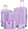 Joyway Juego de Maletas, 3 Piezas Set Trolley de Viaje, Equipaje Mano Cabina de PP, con TSA Cerradura y Ruedas Multiángulo Spinner -20/24/28 Pulgadas