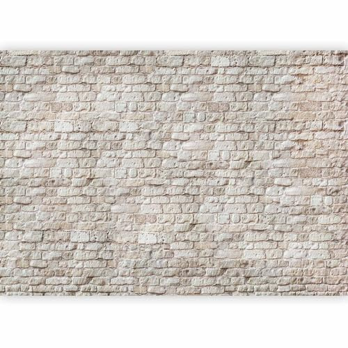 murando - Carta da Parati Moderna per Soggiorno, Fotografica, 350x256 cm | Fotomurali in TNT, Decorazione da Muro XXL, Carte da Parati Moderne, Moderna, Produzione Europea