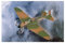 Hobby Boss 80285 - Modellino Aereo da Guerra IL-2M3 in Scala 1:72