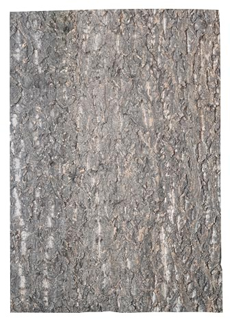 Lucky Reptile KBG-6 Korkvägg grov naturlig baksida för terrarier, 60 x 30 cm