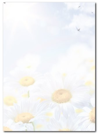 Motiv Briefpapier (Margeriten, Blumen Himmel-5015, DIN A4, 25 Blatt). Einseitig bedrucktes Briefpapier, sehr gut beschreibbar, Motivpapier für alle Drucker/Kopierer geeignet