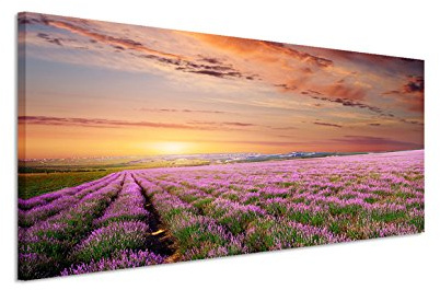 150x50cm Leinwandbild auf Keilrahmen Lavendelfeld Abendrot Sonnenuntergang Wandbild auf Leinwand als Panorama