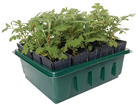 Haxnicks Rapid Rootrainers | Reusable Shallower Root Trainers | Seed Planting | 20 Cells For Those With Less Space | Salads Bedding Plants Flower Cuttings | Multi-Color, 20 Cells | RT040101