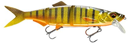 Daiwa Prorex Hybrid SB250 golden Shiner