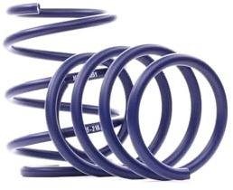 H&R 29255-4 Molla, Confezione da 2 pezzi, Blu