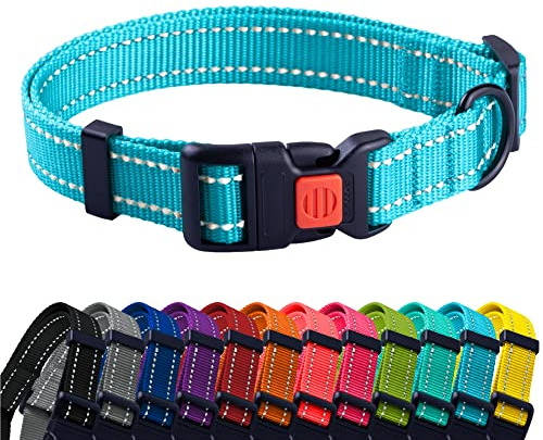 CollarDirect Reflektierendes Hundehalsband für kleinen, mittelgroßen, großen Hund, Welpen mit Schnellverschluss, Hündin, Rüde, 48 Sorten, Nylon Wasserfest