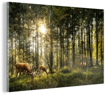 MuchoWow Glasbild Glasfoto Wandbild Bilder Deko 120x80 cm Hirsche - Natur - Wald