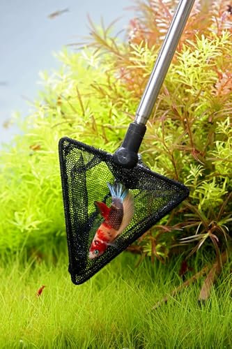 NatureHolic Aquarium Kescher klein & schwarz - Teleskop | Aquarium Zubehör Garnelenkescher aus rostfreiem Edelstahl | Kleiner Aquarienkescher für Garnelen, Schnecken & kleine Fische | Dreieckig