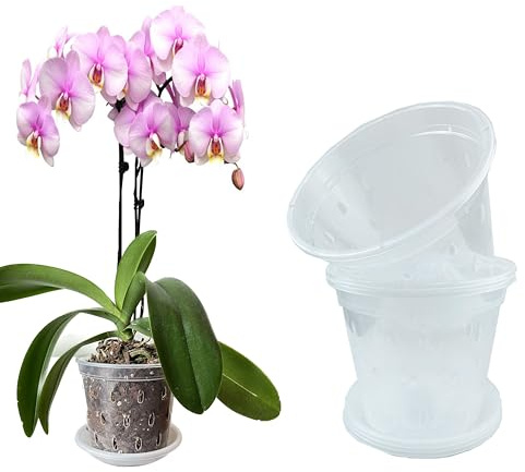 Mesoar Pots à orchidée en plastique transparent de 17 cm avec trous et soucoupes pour plantes et fleurs - Pots à orchidée pour le rempotage en intérieur et en extérieur (6, 17 cm avec soucoupes)