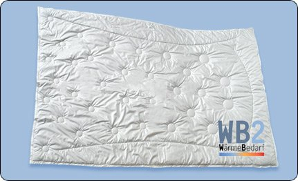 Dormabell Zudecke Kamelhaar Edition WB2 WärmeBedarf2 155/220 cm