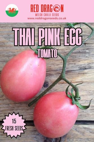 Thai Pink Egg Tomato Seeds - 15 Fresh Seeds