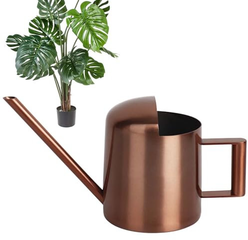 300ml Mini Gießkanne, Gießkanne mit Edelstahl Ausguss, Gießkanne Zimmerpflanzen, Langer Auslauf Giesskanne, Gießkanne Klein mit Komfort Griff für Den Zimmerpflanzen, Balkonpflanzen Blumengießkanne