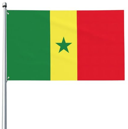 Drapeau du Sénégal - Drapeau de jardin - 89 x 152,4 cm - Simple face à l'extérieur - Pour décoration