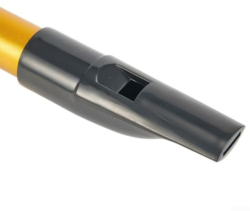 Irische Flöte mit 6 Löchern, ideal zum Erfassen der Essenz traditioneller Musik (goldener D-Schlüssel)