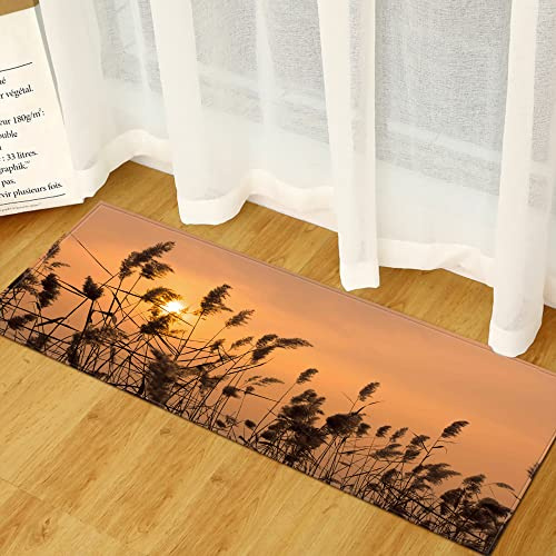 BOVZOX Tappeto Cucina Antiscivolo Lavabile in Vinile canna passatoia da cucina antiscivolo, zerbino, tappetino per il bagno, da pavimento 60 x 120cm