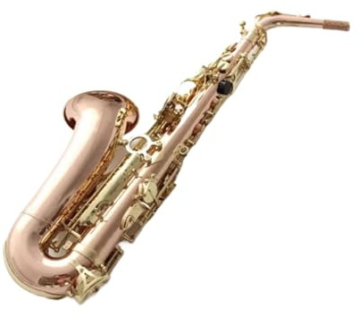 Goldlackiertes Professionelles Altsaxophon Professionelles Altsaxophon Für Anfänger Und Erwachsene In E Mit Mundstück Und Rohrblatthals