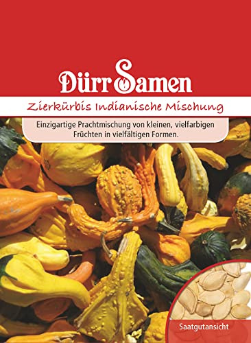 Dürr Samen 1071 Zierkürbis Indianische Mischung (Zierkürbissamen)